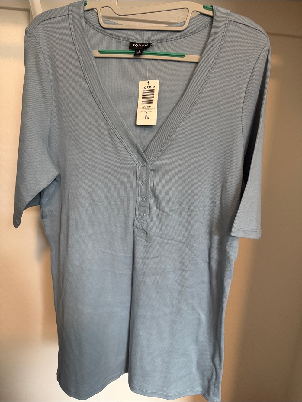 torrid Light Sky Blue Short Sleeve V-Neck Henley